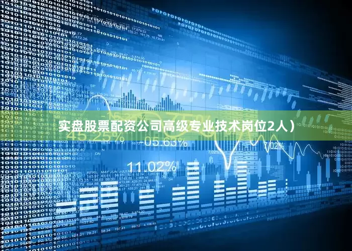 实盘股票配资公司高级专业技术岗位2人）