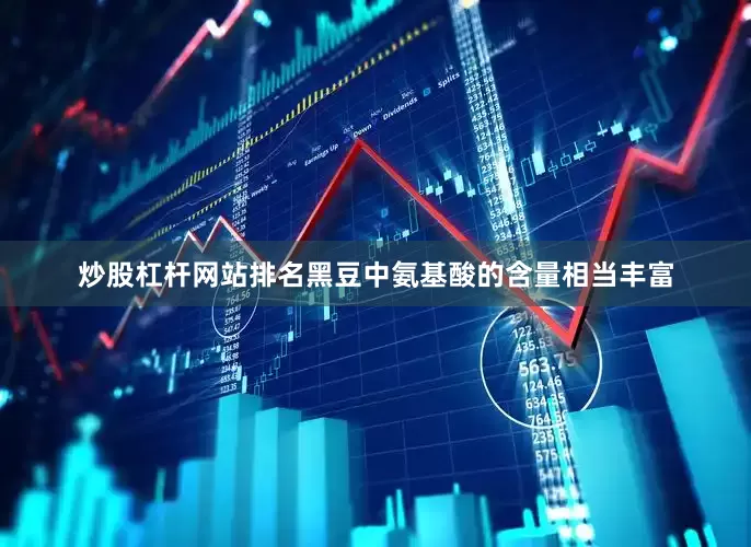 炒股杠杆网站排名黑豆中氨基酸的含量相当丰富