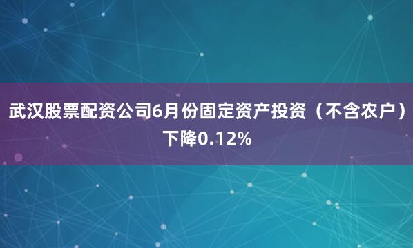 武汉股票配资公司6月份固定资产投资（不含农户）下降0.12%